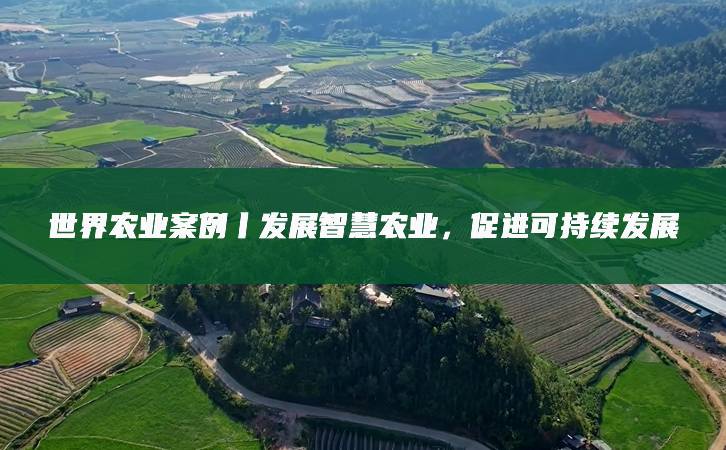 较2023年微降1.3%