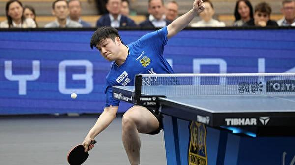 樊振东转会杜塞尔多夫开