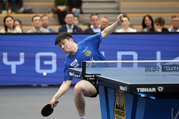 樊振东转会杜塞尔多夫开启德甲新篇章，中德乒