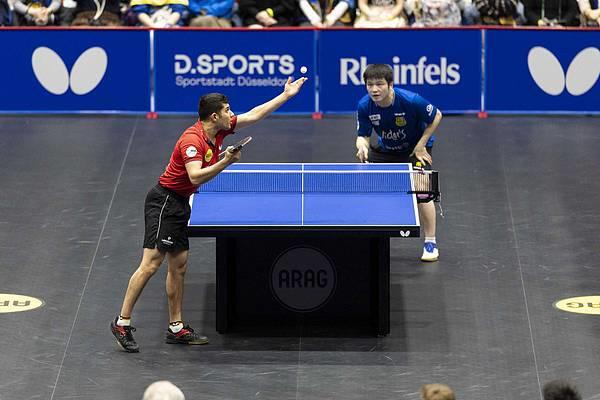 樊振东转会杜塞尔多夫开启德甲新篇章，中德乒